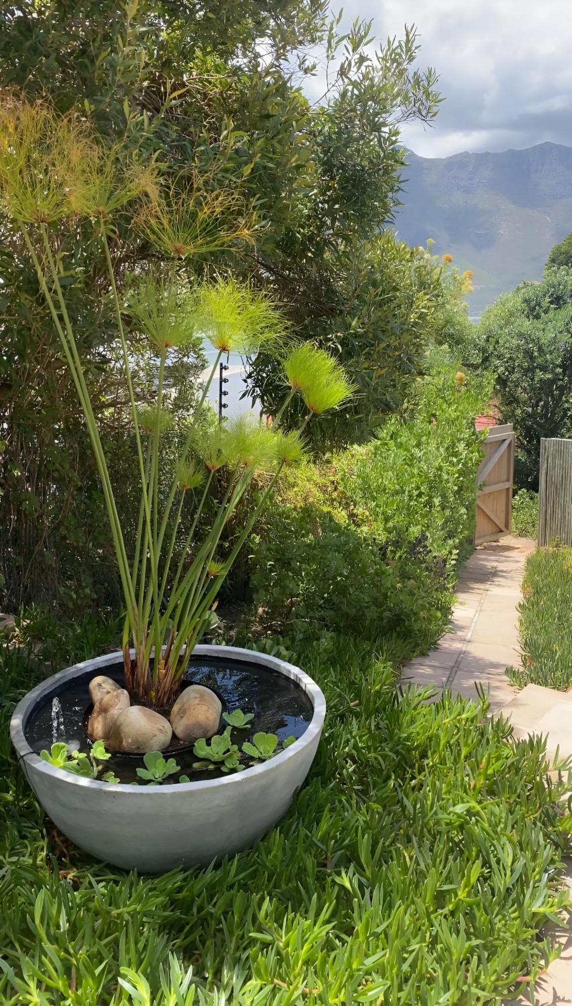 Beautiful View Garden Apartment 开普敦 外观 照片